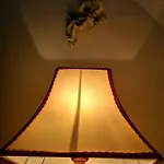 Corti Carmela Галлиполи